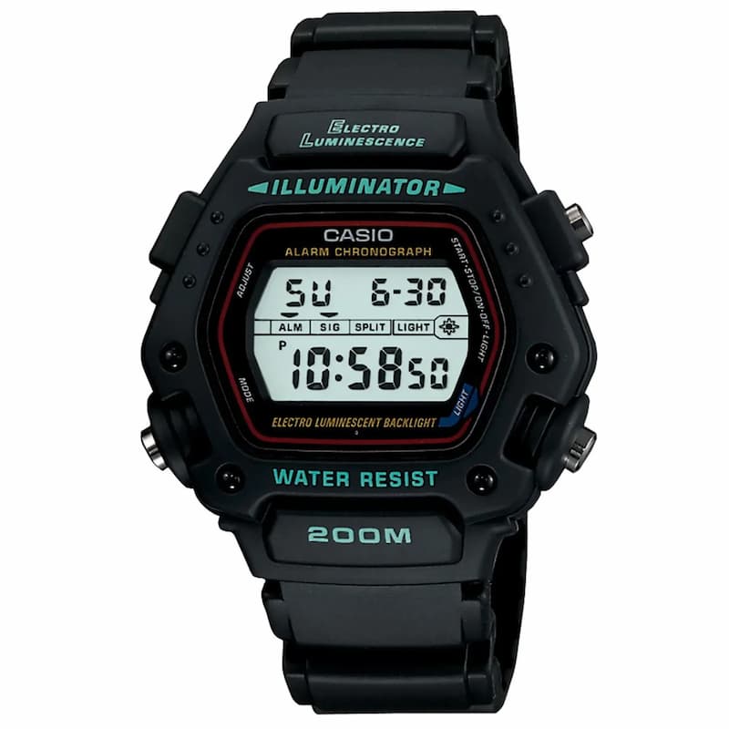 Casio DW290-1V